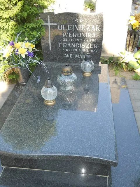 Zdjęcie grobu 7/12000