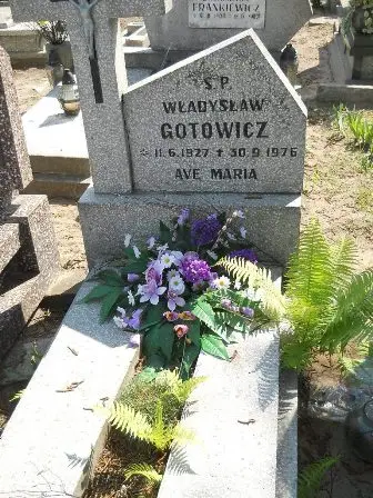 Zdjęcie grobu 42/24