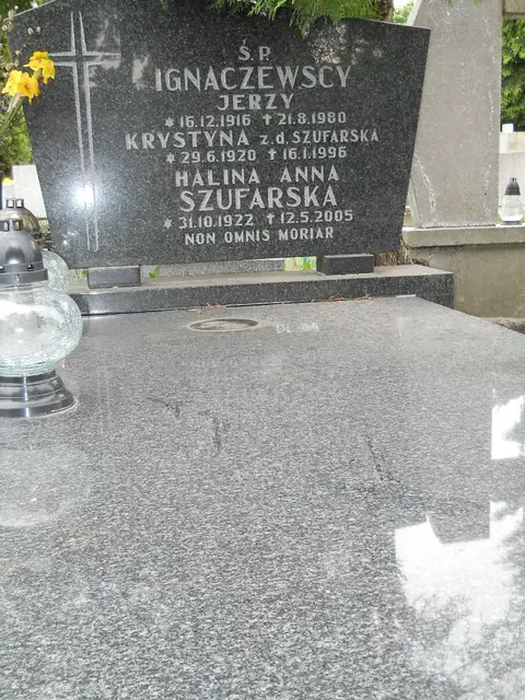 Zdjęcie grobu 7/11047