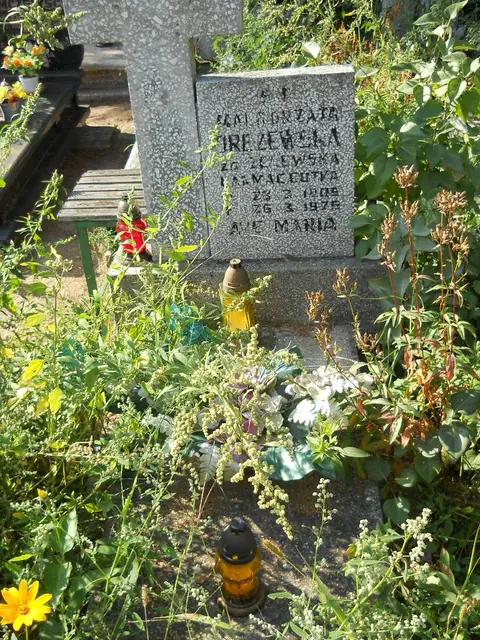Zdjęcie grobu 17/28009