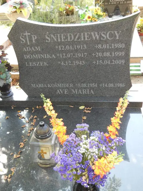 Zdjęcie grobu 14/27195