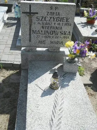 Zdjęcie grobu 25/100