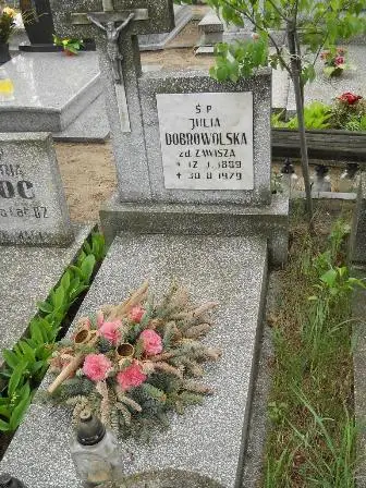 Zdjęcie grobu 36/314