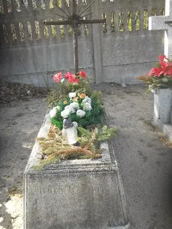 Zdjęcie grobu 100/100