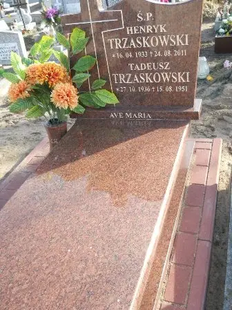 Zdjęcie grobu 100/100