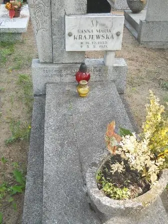 Zdjęcie grobu 24/100