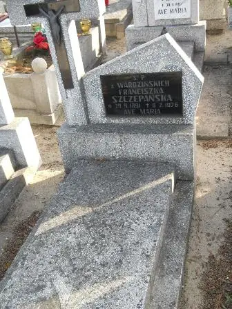 Zdjęcie grobu 100/100