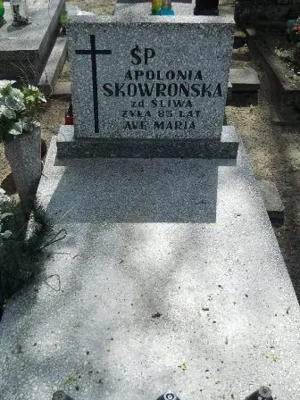 Zdjęcie grobu 27/376