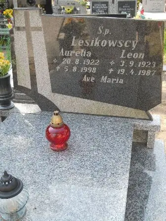 Zdjęcie grobu 35/389