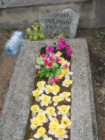 Zdjęcie grobu 36/100