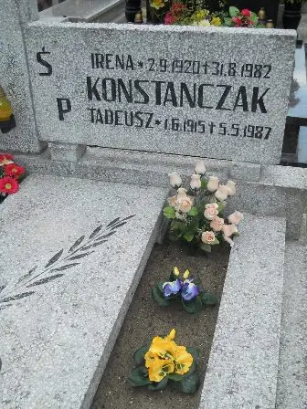 Zdjęcie grobu 43/100