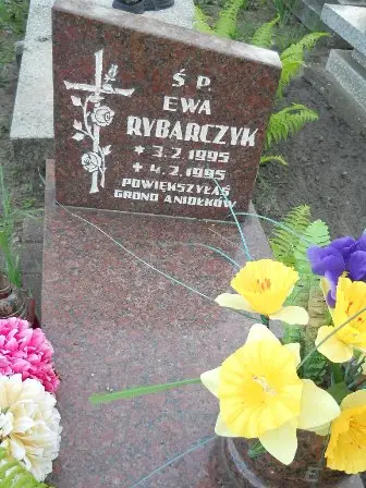 Zdjęcie grobu 7c/82