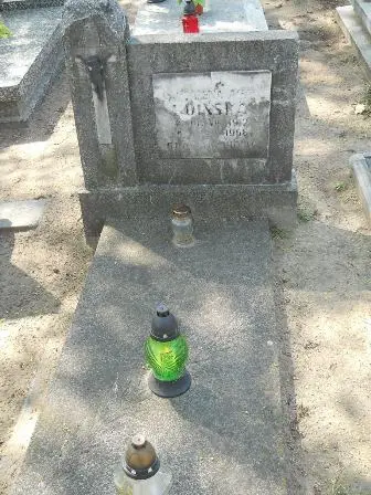 Zdjęcie grobu 11/100