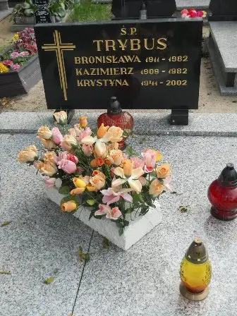Zdjęcie grobu 26/348,348a