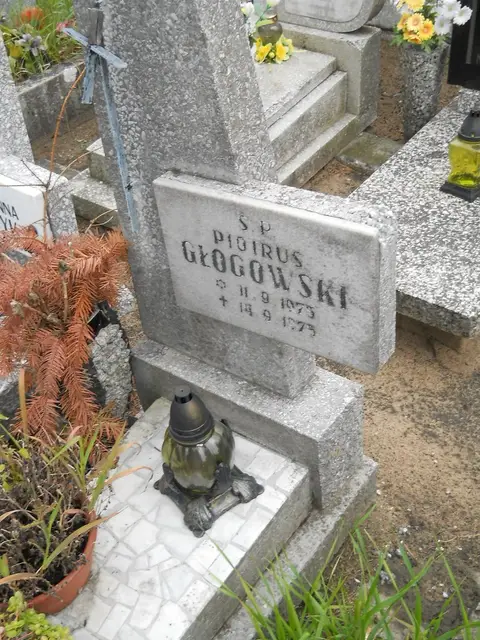 Zdjęcie grobu 21/23819