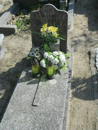 Zdjęcie grobu 29/100