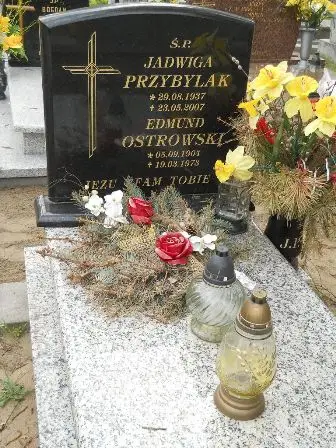 Zdjęcie grobu 40/100