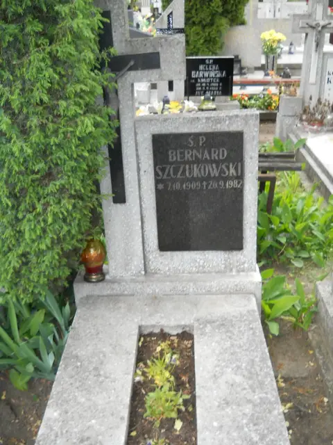 Zdjęcie grobu 7/10849