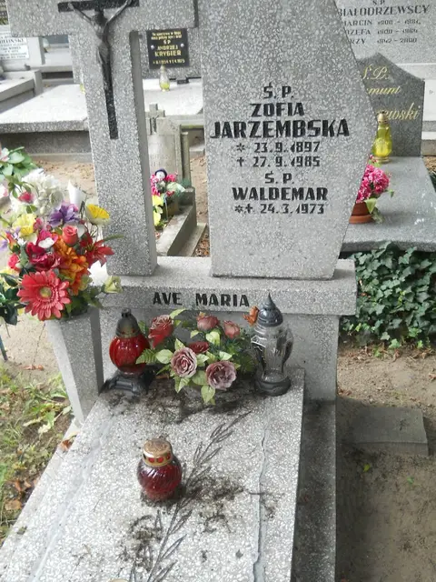 Zdjęcie grobu 13/29676