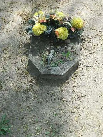 Zdjęcie grobu 30/100