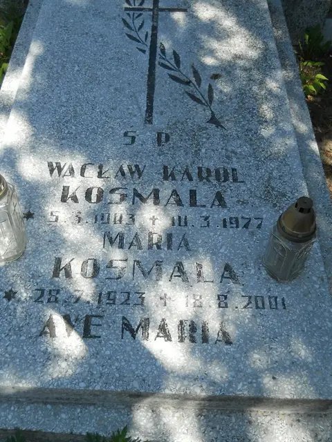 Zdjęcie grobu 8A/10079