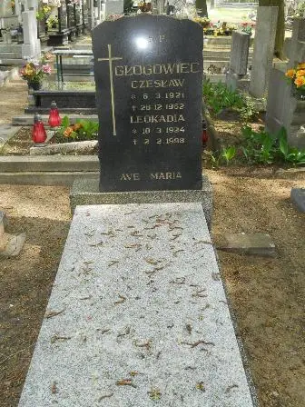 Zdjęcie grobu 32/100