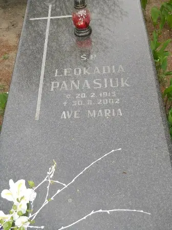Zdjęcie grobu 23/156