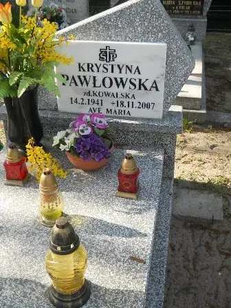 Zdjęcie grobu 20/100