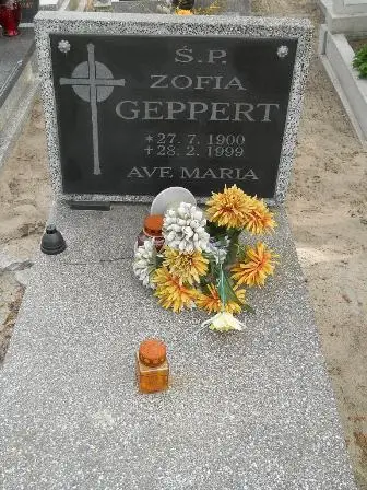 Zdjęcie grobu 22/100