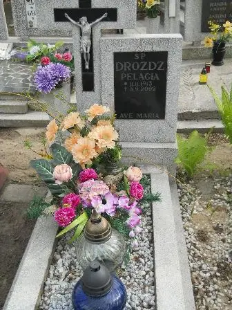 Zdjęcie grobu 9/100