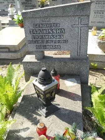 Zdjęcie grobu 14/100