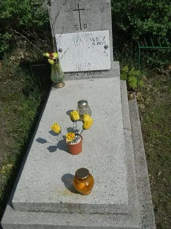 Zdjęcie grobu 30/100