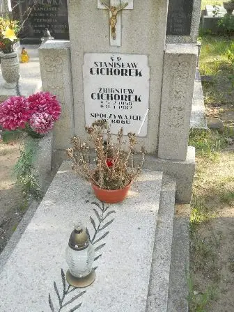 Zdjęcie grobu 31/100