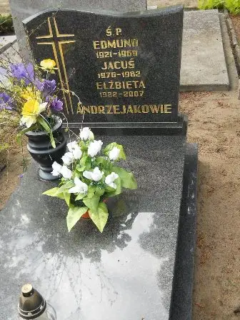 Zdjęcie grobu 38/8