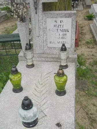 Zdjęcie grobu 22/211,211a