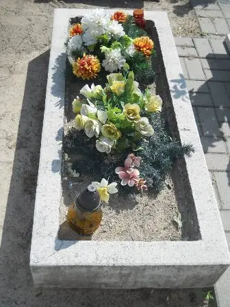 Zdjęcie grobu 25/315