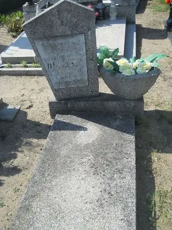 Zdjęcie grobu 14/100