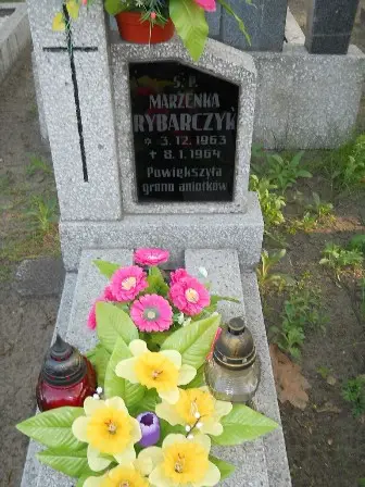 Zdjęcie grobu 7b/102