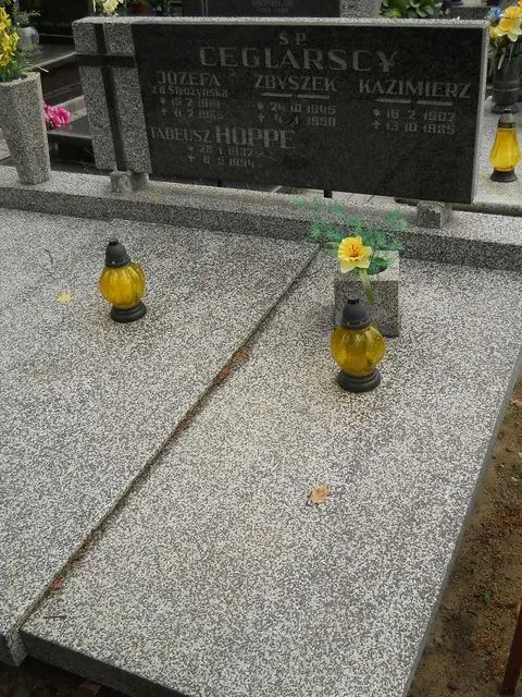 Zdjęcie grobu 16/26151